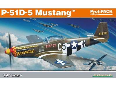 P-51D-5 1/48 - image 1