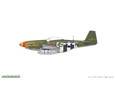 P-51D-5 1/48 - image 11