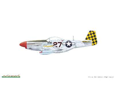 P-51D-5 1/48 - image 14