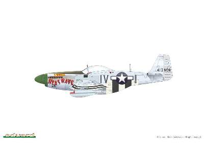 P-51D-5 1/48 - image 15