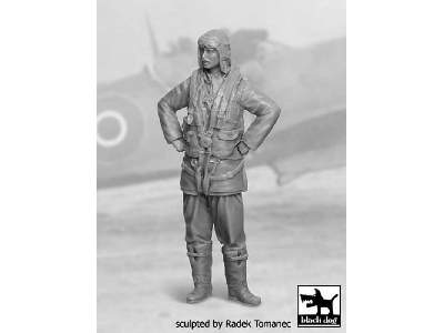 RAF Fighter Pilot 1940-45 N°2 - image 1
