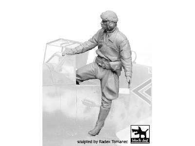 German Luftwaffe Pilot 1940-1945 N°5 - image 1