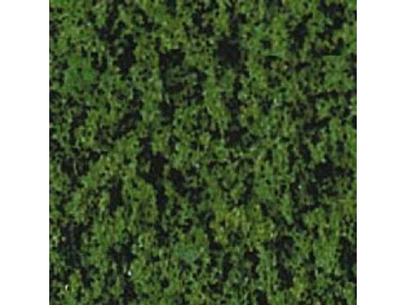 Dark geen foliage - image 1 Dark geen foliage - image 1