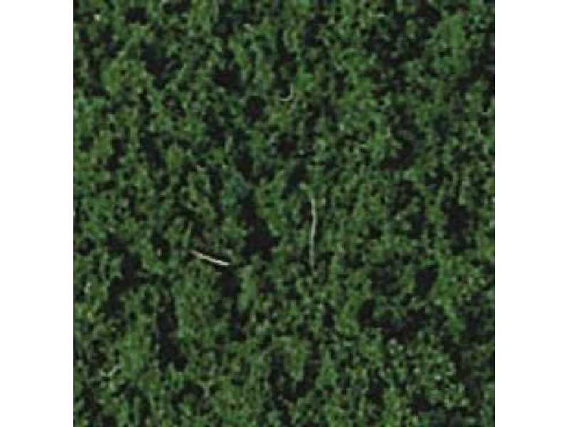 Pine green foliage  - image 1