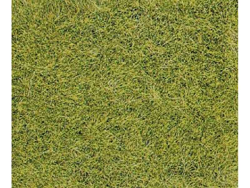 Wild grass, meadow green - 14 x 28 cm - image 1