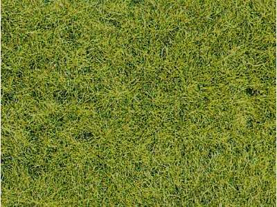 Wild grass, forest soil - 14 x 28 cm - image 1