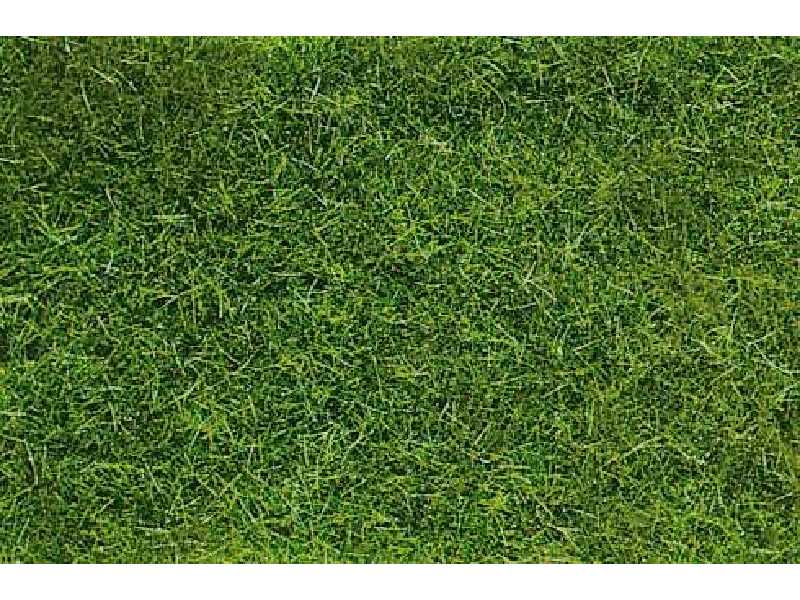 Wild grass, dark green - 14 x 28 cm - image 1
