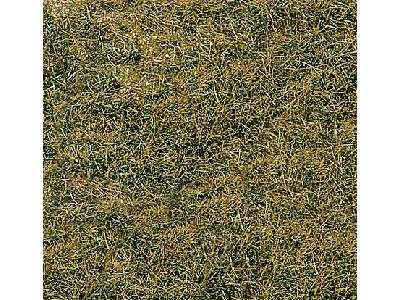 Wild grass, meadow - 14 x 28 cm - image 1