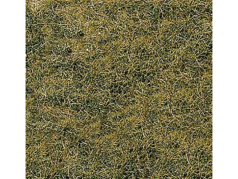 Wild grass, meadow - 14 x 28 cm - image 1