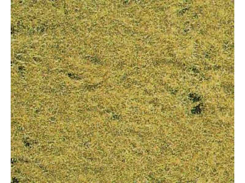 Meadow grass autumn - 14 x 28 cm - image 1