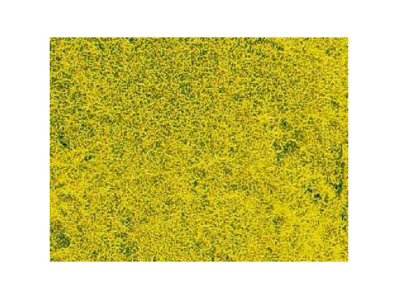 Rape flower meadow grass - 14 x 28 cm - image 1