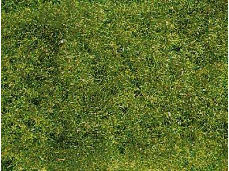 Mountain meadow grass - 14 x 28 cm - image 1