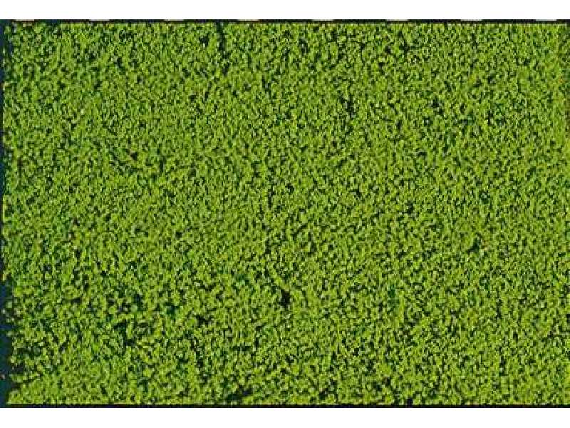 Micro foliage light green. - image 1 Micro foliage light green. - image 1