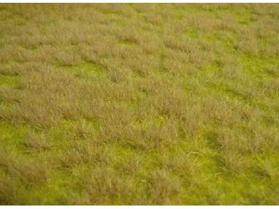 Realistic wild grass savanna 45 x 17 cm - image 1