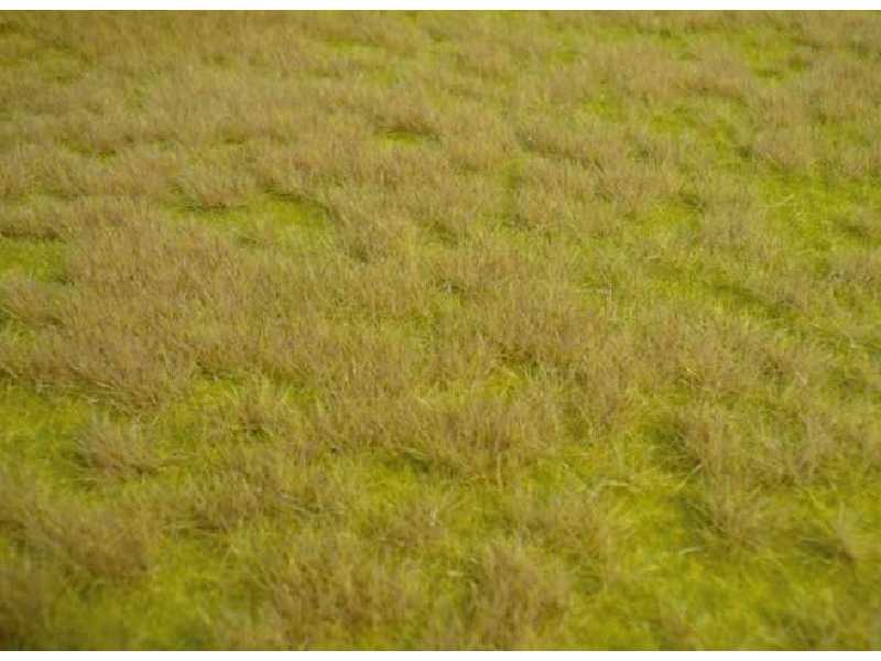 Realistic wild grass savanna 45 x 17 cm - image 1