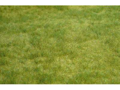 Realistic spring grass wild grass 45 x 17 cm - image 1