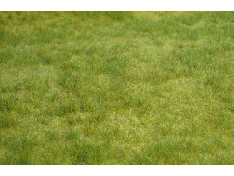 Realistic spring grass wild grass 45 x 17 cm - image 1