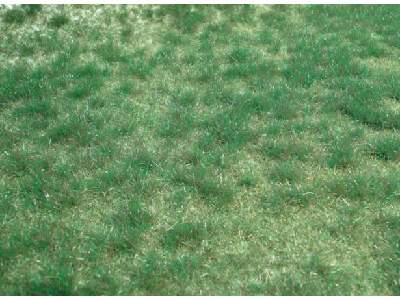 Realistic wild grass moorland 45 x 17 cm - image 1