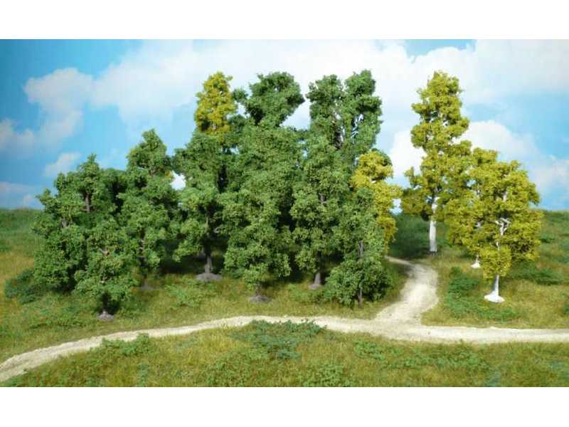 Deciduous trees 8-18cm - 14 pcs. - image 1