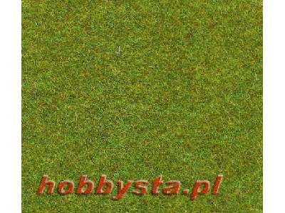 Light green grass mat 100x300 cm  - image 1