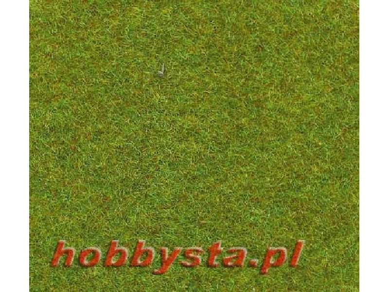 Light green grass mat 100x300 cm  - image 1