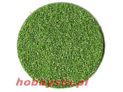 Coarse Groundcover Light Green - image 1