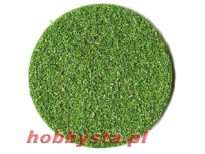 Coarse Groundcover Light Green - image 1