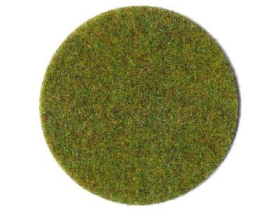 Summer lawn grass fiber - image 1