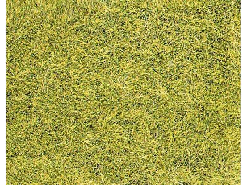 Wild grass meadow - green grass fiber - image 1