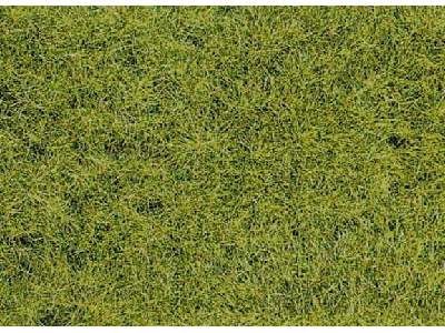Grass fiber - wild grass forest soil - image 1