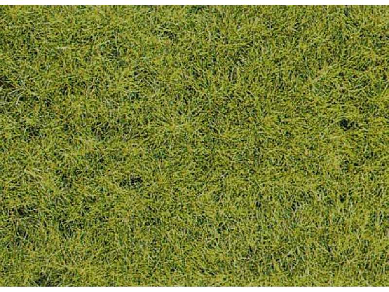 Grass fiber - wild grass forest soil - image 1