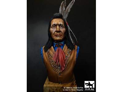 Sioux Dakota - image 1