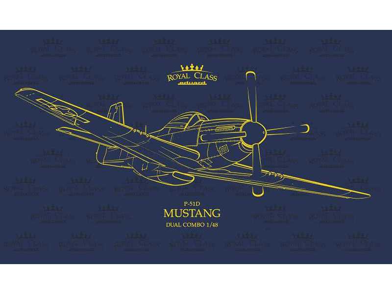 Mustang 1/48 - image 1