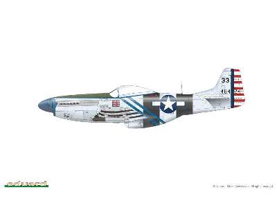 Mustang 1/48 - image 2