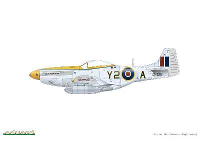 Mustang 1/48 - image 3