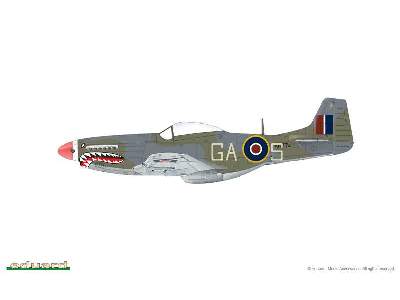 Mustang 1/48 - image 4