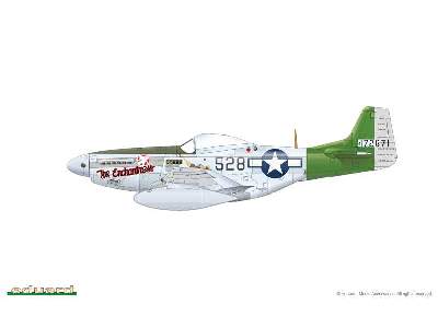 Mustang 1/48 - image 5