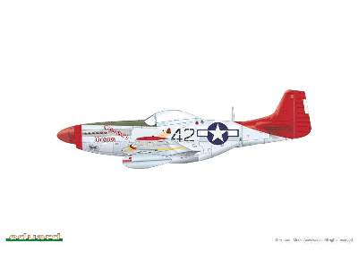 Mustang 1/48 - image 8