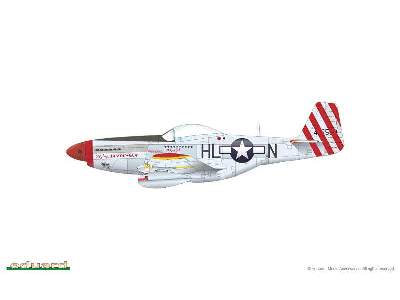 Mustang 1/48 - image 11