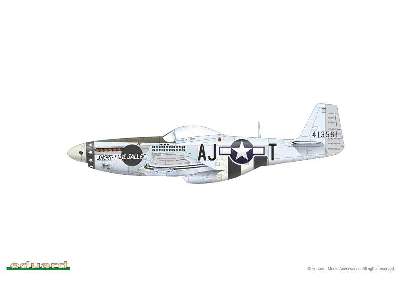 Mustang 1/48 - image 12