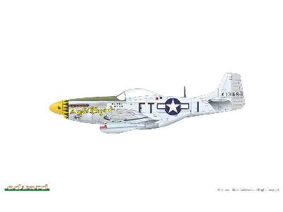 Mustang 1/48 - image 13