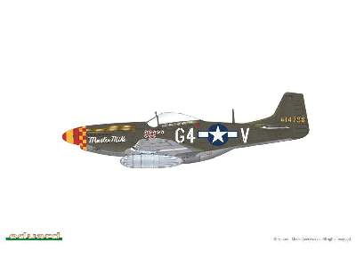 Mustang 1/48 - image 14