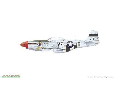 Mustang 1/48 - image 15