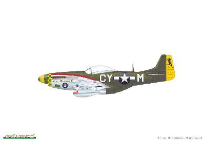 Mustang 1/48 - image 16