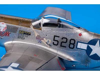 Mustang 1/48 - image 39