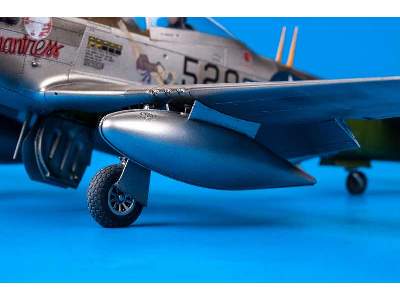 Mustang 1/48 - image 42