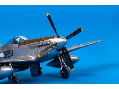 Mustang 1/48 - image 43