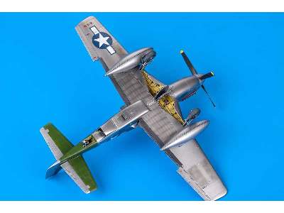 Mustang 1/48 - image 48