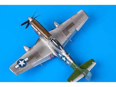 Mustang 1/48 - image 49