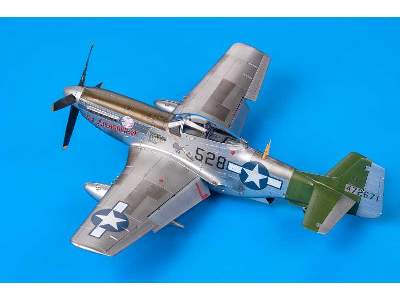 Mustang 1/48 - image 50